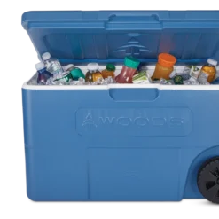 Woods Boreal Cooler, 65-L, Blue -Woods Shop woods 65l cooler dfc949a9 54b9 4b0e baa1 a8e4268ca320