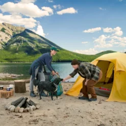 Woods Expedition Instalite Single Self-Inflating Camping Sleeping Pad/Air Mat W/ Storage Bag, 1-In -Woods Shop woods cascade 4 person tent 4c579f75 456b 4359 ac5f fa362ade70d3 3