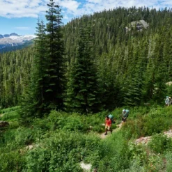 Woods Chilkoot Lightweight Water-Resistant Backpack For Hiking/Camping/Travel, 55-L 19 Woods Chilkoot Lightweight Water-Resistant Backpack For Hiking/Camping/Travel, 55-L -Woods Shop woods chilkoot 40l 63db9af5 19fa 4558 a318 cd77943afce0 1