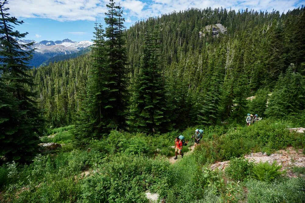 Woods Chilkoot Lightweight Water-Resistant Backpack For Hiking/Camping/Travel, 70-L 16 Woods Chilkoot Lightweight Water-Resistant Backpack For Hiking/Camping/Travel, 70-L - Image 14