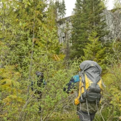 Woods Expedition Peak Lightweight Water-Resistant Backpack For Hiking/Camping/Travel, 60-L 25 Woods Expedition Peak Lightweight Water-Resistant Backpack For Hiking/Camping/Travel, 60-L -Woods Shop woods expedition peak backpack 60l 18afde8e 05e5 4be9 99ac 4241e8ee8496