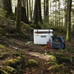 Woods™ Soft Cooler Tote, 36 Can Capacity, 41.4-L, Grey -Woods Shop woods expedition series soft cooler tote 036fd6ee 2ebb 46c0 8e7a b39c20bff218