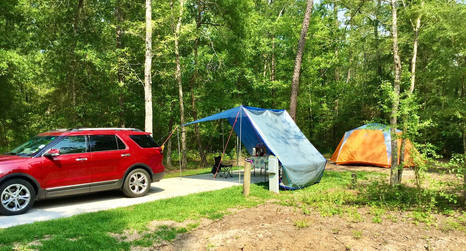 Woods Shop -Woods Shop public